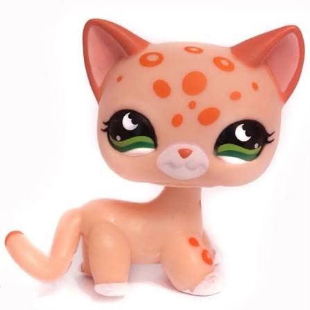 Custom Keyring/Bagcharm Shorthair Cats